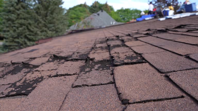 Best Gutter Installation and Repair  in Mesa Del Caballo, AZ