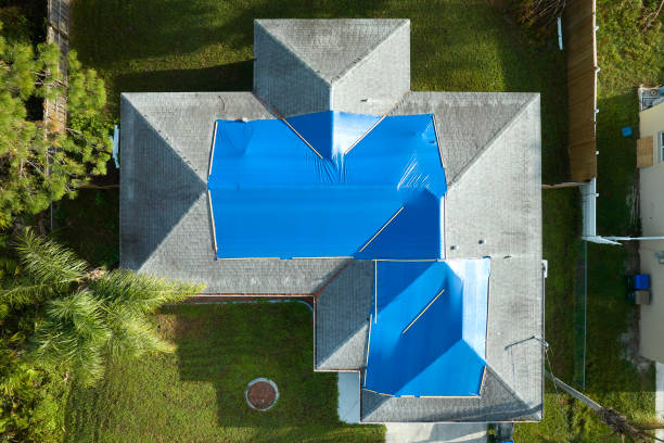 Best Skylight Installation and Repair  in Mesa Del Caballo, AZ