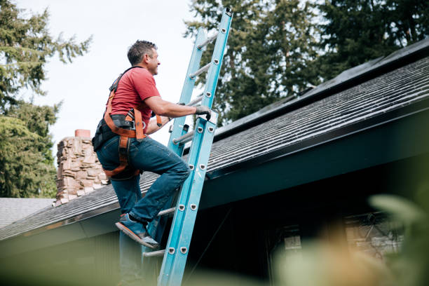 Best Emergency Roof Repair Services  in Mesa Del Caballo, AZ